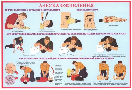 Оказание первой медицинской помощи