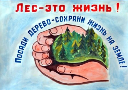 Плакат защита леса