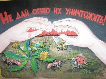 Плакаты не жгите траву