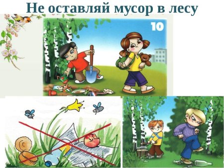 Не оставляй мусор в лесу