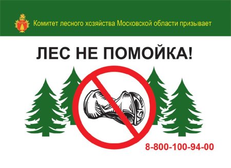 Мусор в лесу плакат