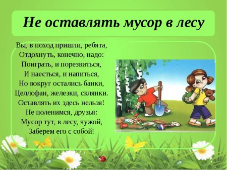 Плакат не мусорить в лесу