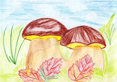 Рисование осенние грибы