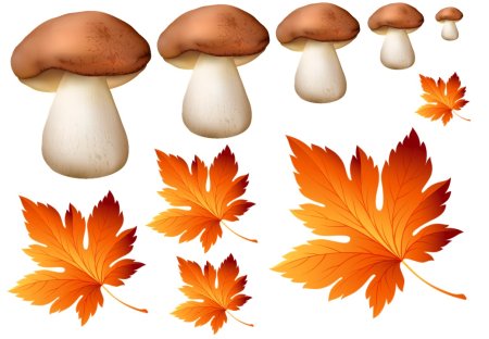 Грибочки на листе