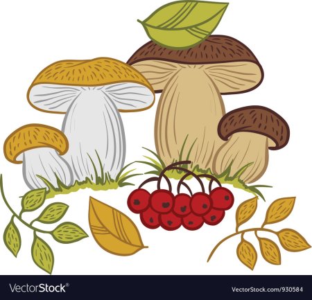 Грибы и ягоды для детей