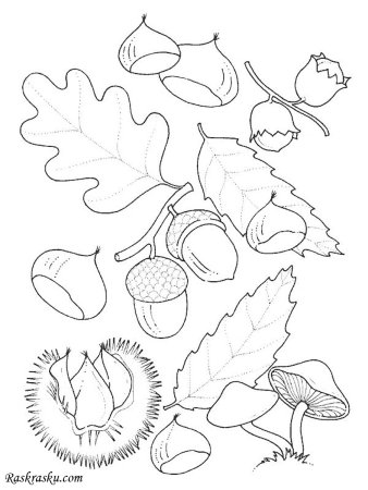 Осенняя раскраска