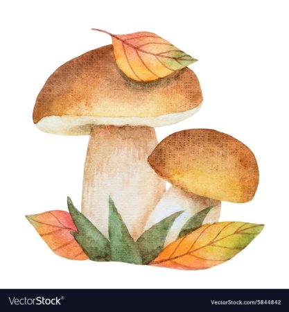 Осенние грибы акварелью
