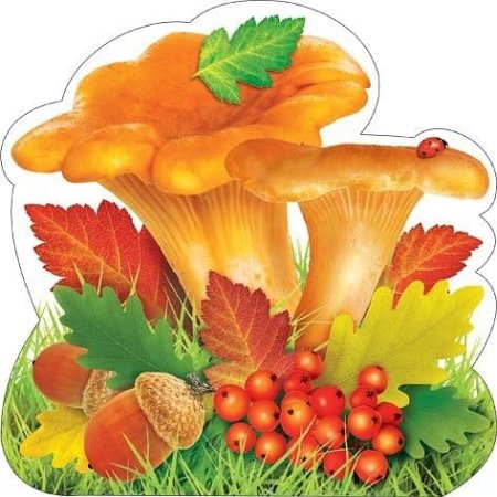 Грибы для детского сада