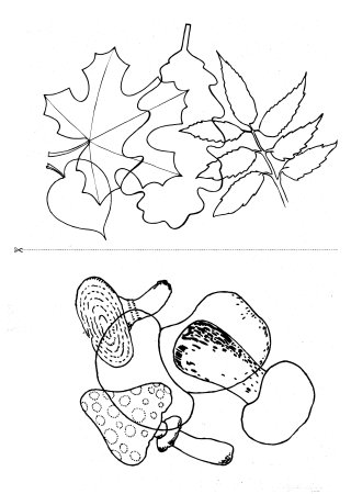 Задания для детей по теме деревья