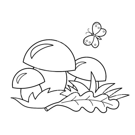 Белый гриб раскраска для детей