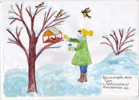 Покорми птиц зимой для дошкольников