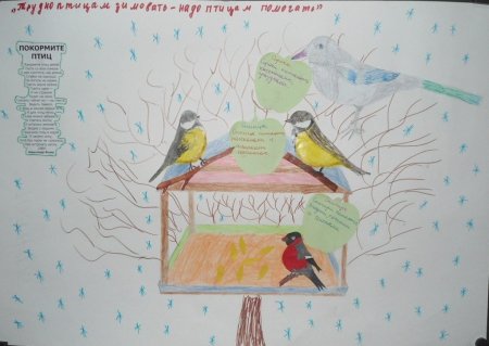 Экология зимой для дошкольников