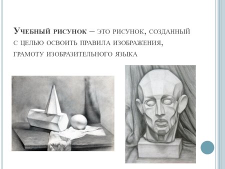 Рисунок основа изобразительного творчества