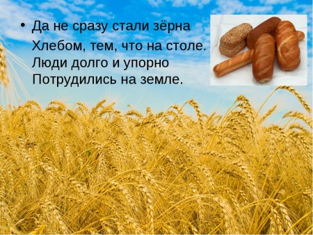 От зернышка до хлеба