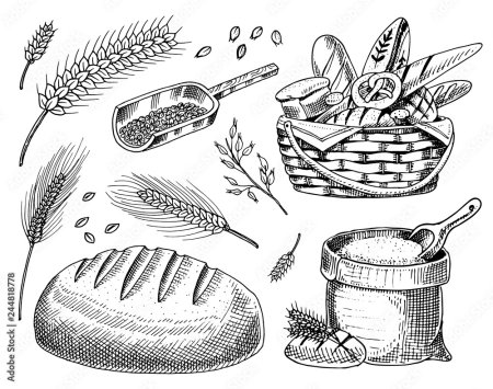 Раскраски колосок хлеб для детей