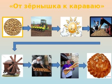 От зернышка до хлеба для детей
