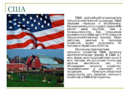 Промышленность и сельское хозяйство США