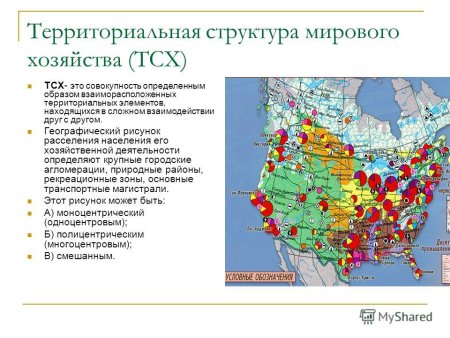 Территориальная структура мирового хозяйства