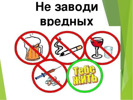 Не заводи вредных привычек
