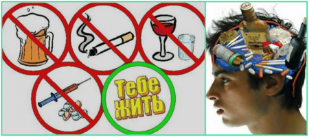 Жизнь без вредных привычек