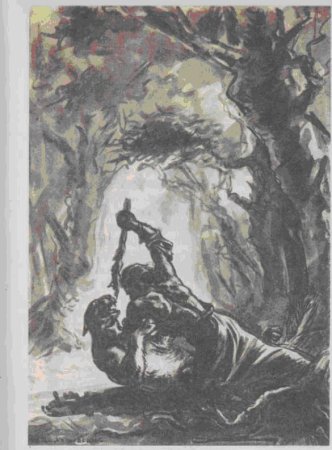 Витязь в тигровой шкуре иллюстрации Тоидзе