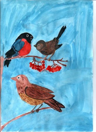 Птицы нашего края рисунок