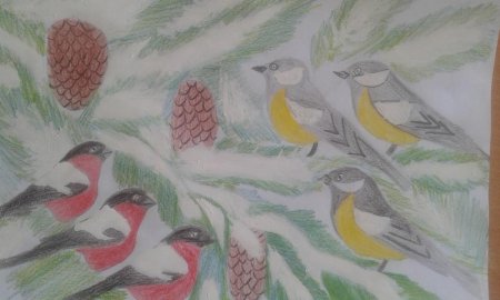 Зимующие птицы рисунок