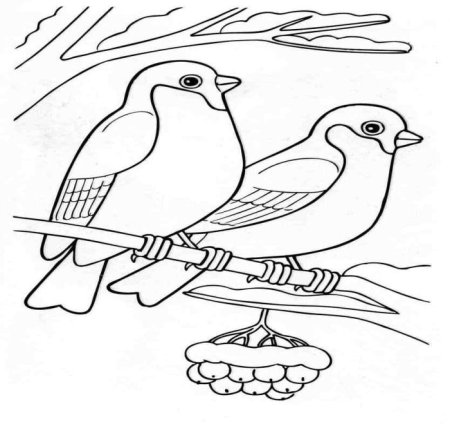 Зимующие птицы рисунок