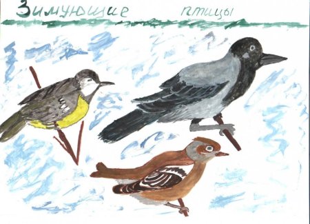 Рисование птицы на кормушке