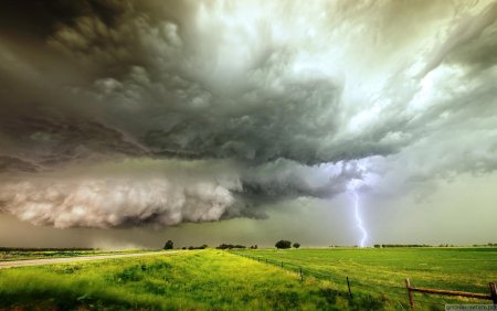 Стих Тютчева неохотно и несмело