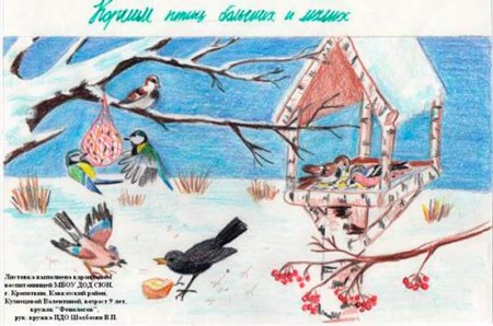 Кормушка для птиц раскраска