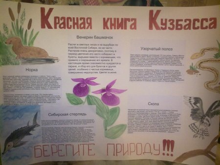 Плакат красная книга