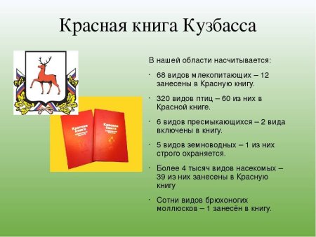 Красная книга Кемеровской области животные Кузбасса