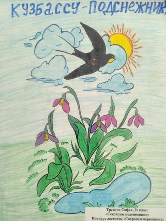 Рисунок на тему первоцветы