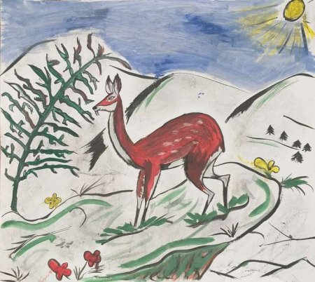 Иллюстрации краснокнижных растений и животных