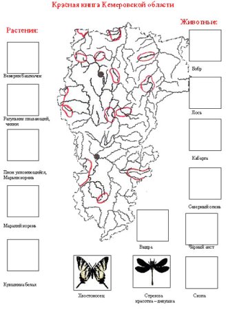Красная книга растений Кузбасса Кузбасса