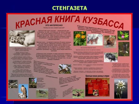 Плакат красная книга