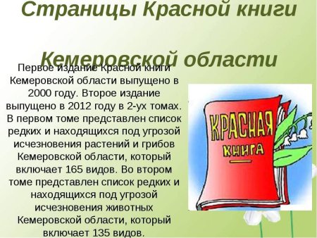 Красная книга Кузбасса животные