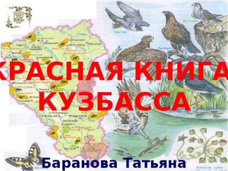 Птицы Кемеровской области занесенные в красную книгу