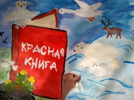 Красная книга Кемеровской области