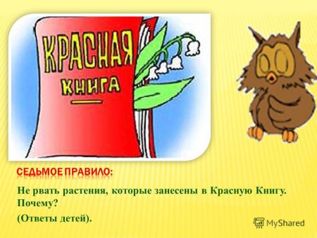 Красная книга рисунок