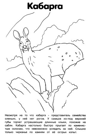 Красная книга Кемеровской области обложка