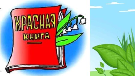 Красная книга для детей