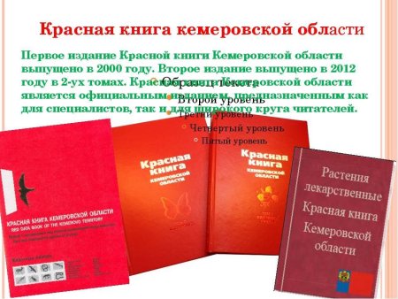 Детский проект красная книга