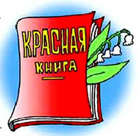 Животные занесенные в красную книгу Кемеровской области Кузбасса