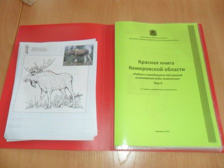 Красная книга