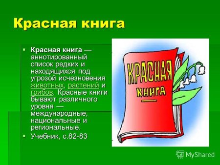 Животные Кузбасса презентация