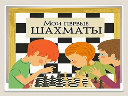 Шахматная деятельность