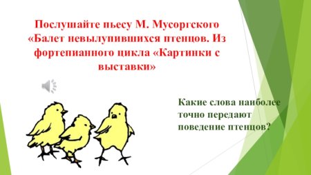 Балет невылупившихся птенцов м.п Мусоргского