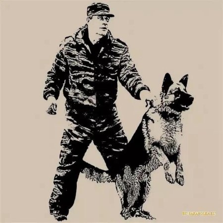 Чеченин Вячеслав кинолог